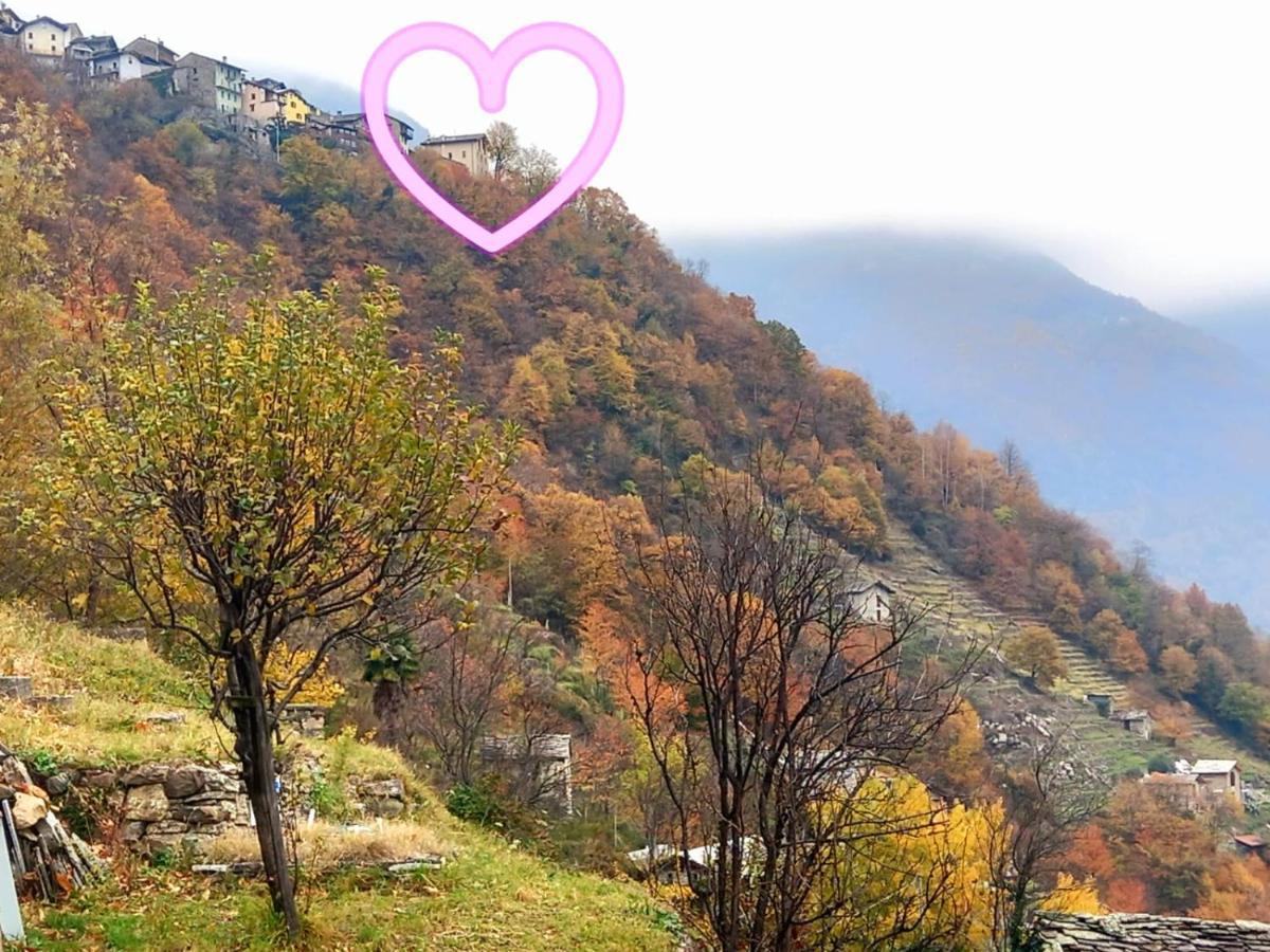 Foresteria B&B Vecchiascuola Pianazzola Chiavenna Buitenkant foto