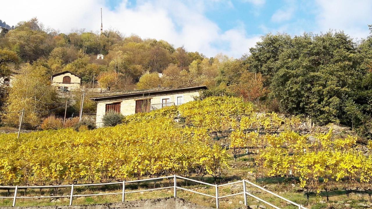 Foresteria B&B Vecchiascuola Pianazzola Chiavenna Buitenkant foto
